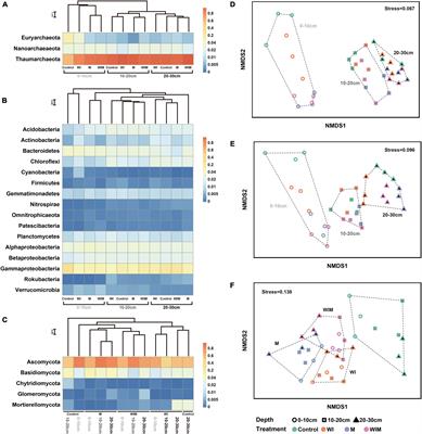 Long-Term Amelioration Practices Reshape the Soil Microbiome in a Coastal Saline Soil and Alter the Richness and Vertical Distribution Differently Among Bacterial, Archaeal, and Fungal Communities